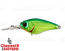is lime chartreuse