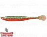 Carrot (SPG-25#009)