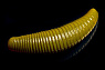 цв. 30