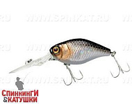Hl Silver & Black