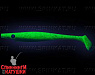 Lemon Shad (SP-172C#113)
