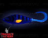 Golden Perch Gold (EG-208A#TR-003)