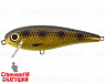 Spotted Bullhead (EG-205#JV009F)