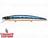 Blue Back Silver OB Fluo (EG-031F#A234-SBO-LU)