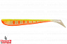 #032 Motley Fish