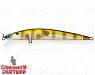 Broun Gill Transparent (EG-146F#A68G)