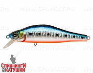 Blue Back Silver OB Fluo (EG-125C-SP#A234-SBO-LU)