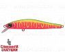 Watermelon Mat Tiger (EG-192C-SP#A230S)