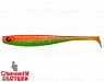 #023 Carrot