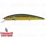 Hot Spotted Bullhead (EG-190C-SP#SB002)