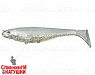 #02 Hologram Shad