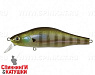 082 Ghost Gill