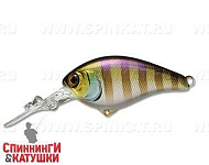 blue gill