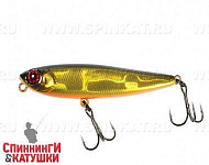 Hl Gold & Black