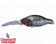 #09 Dead Fish