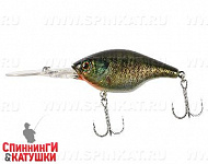 Rt blue gill