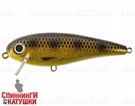 Spotted Bullhead (EG-205B#JV009F)