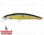 Golden Perch (MG-005F#C382F)