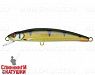 Golden Perch (MG-005F#C382F)