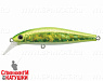 317 Shiney Lime