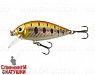 #A029