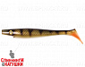 Natual Perch OB (SP-172B#140)