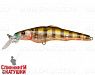 Broun Gill Transparent (EG-076A-SP#A68G)