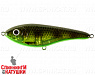 Olive Spotted Bullhead (EG-048S#SB004)