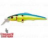 Zander Queen (EG-076C-F#A121F)