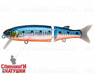 Blue Back Silver OB Fluo (EG-157B-SP#A234-SBO-LU)
