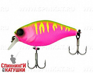 Dragon fruit mat tiger