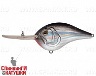 Black Back Silver (EG-044F#A010)