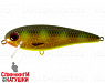 Hot Spotted Bullhead (EG-205#JV011)