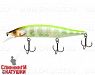 Pol chart back blue gill