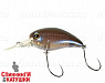 Brown Olive