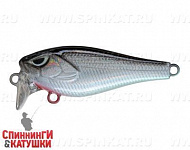 Black Back Silver (EG-239#A010-EP)