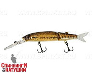 Rt Snake Head