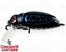 Black Beetle (EG-174F#123F)