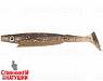 Gold Flash (SP-172E#C016)