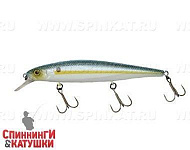 SS Shad