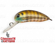 Broun Gill Transparent (JS-322#A68G)