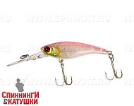 Cotton shad