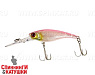 Cotton shad