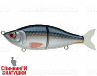Whitefish (EG-051#C384F)