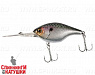 Sk silver shiner