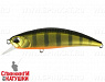 #ASA3146 Gold Perch