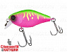 Dragon fruit mat tiger
