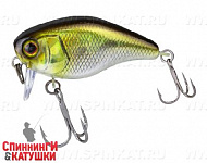 Hl shad