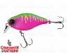 Dragon fruit mat tiger