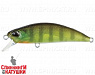 #CCC3055 Chart Gill